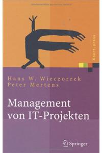 Management Von It-Projekten: Von Der Planung Zur Realisierung