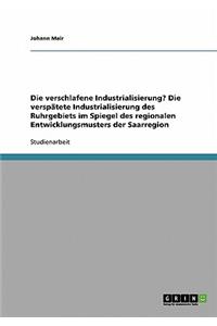 Die verschlafene Industrialisierung? Die verspätete Industrialisierung des Ruhrgebiets im Spiegel des regionalen Entwicklungsmusters der Saarregion