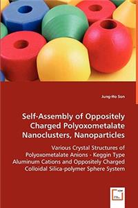 Self-Assembly of Oppositely Charged Polyoxometalate Nanoclusters, Nanoparticles