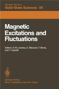 Magnetic Excitations and Fluctuations