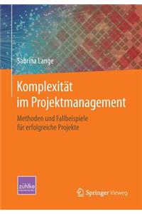 Komplexität Im Projektmanagement