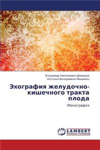 Ekhografiya Zheludochno-Kishechnogo Trakta Ploda