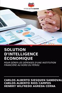 Solution d'Intelligence Économique