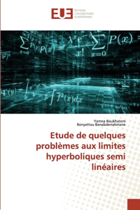 Etude de quelques problèmes aux limites hyperboliques semi linéaires