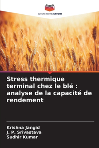 Stress thermique terminal chez le blé