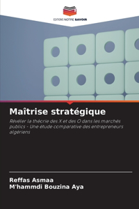 Maîtrise stratégique
