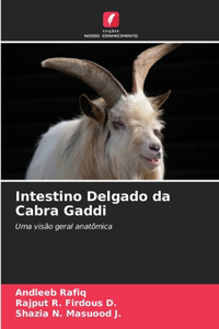 Intestino Delgado da Cabra Gaddi