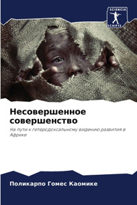 Несовершенное совершенство