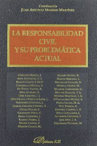 La responsabilidad civil y su problematica actual