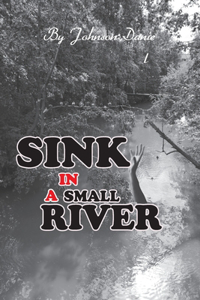 Sink in a Small River