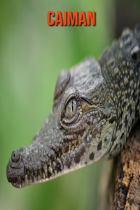 Caiman