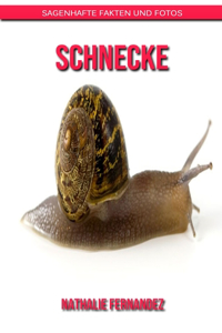 Schnecke