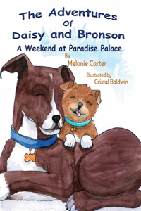 Adventures of Daisy and Bronson