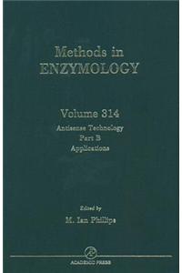 Antisense Technology, Part B