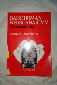 Basic Human Neuroanatomy