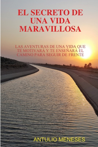 Secreto de Una Vida Maravillosa