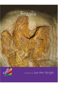 Book 2: Fossils