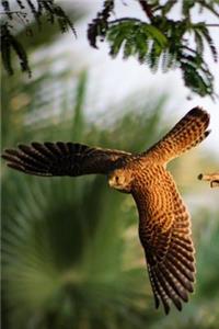 Kestrel in Flight Journal