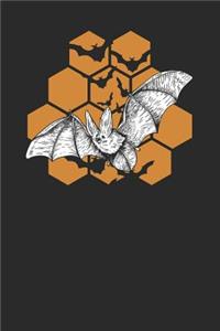 Honeycomb Bat