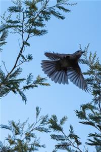 Bird in Flight Journal