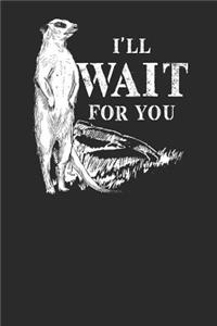I'll Wait For You