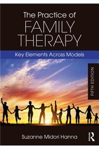 Practice of Family Therapy