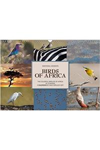 Emotional Moments: Birds of Africa UK-Version 2017