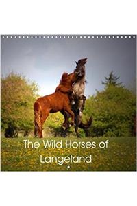 The Wild Horses of Langeland 2018