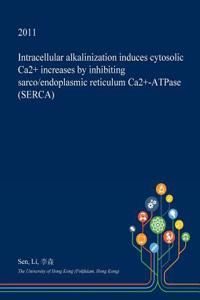 Intracellular Alkalinization Induces Cytosolic Ca2+ Increases by Inhibiting Sarco/Endoplasmic Reticulum Ca2+-Atpase (Serca)