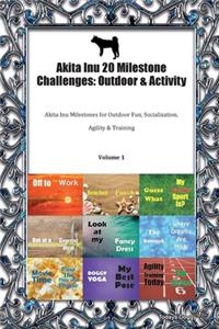 Akita Inu 20 Milestone Challenges