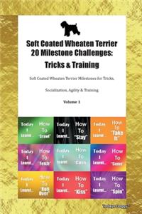 Soft Coated Wheaten Terrier 20 Milestone Challenges
