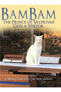 Bambam the Prince of Valprivas! Gets a Visitor