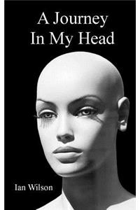 A Journey In My Head
