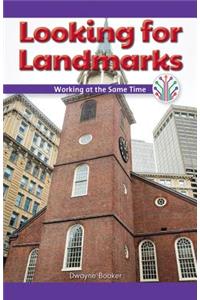 Looking for Landmarks