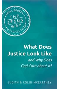 What Does Justice Look Like and Why Does God Care about It?