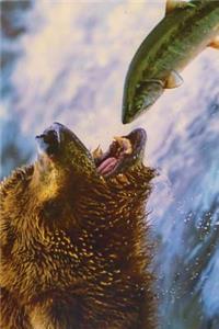 Grizzly Bear Hunting for Salmon in Alaska Journal