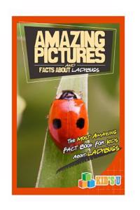 Amazing Pictures and Facts about Ladybugs: The Most Amazing Fact Book for Kids about Ladybugs