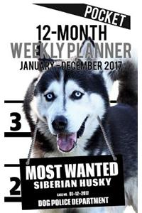 2017 Pocket Weekly Planner - Most Wanted Siberian Husky