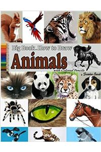 Big Book on How to Draw Animals With Colored Pencils: Drawing Tutorials, How to Draw