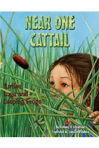 Near One Cattail