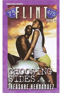 Flint Book #1: Choosing Sides