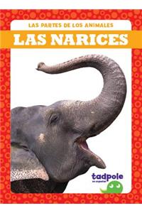 Las Narices (Noses)