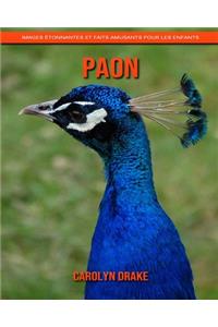 Paon