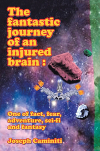 Fantastic Journey of an Injured Brain