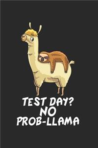 Faultier reitet auf Lama Notizbuch