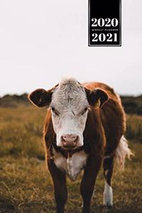 Cow Cattle Farming Farmer Week Planner Weekly Organizer Calendar 2020 / 2021 - Sunset