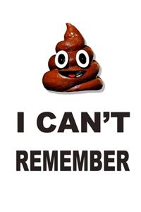 Shit I Can't Remember