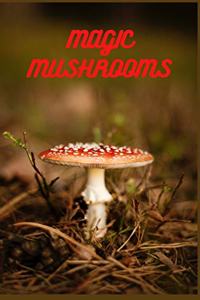 Magic Mushrooms