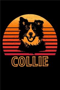 Collie