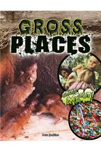 Gross Places